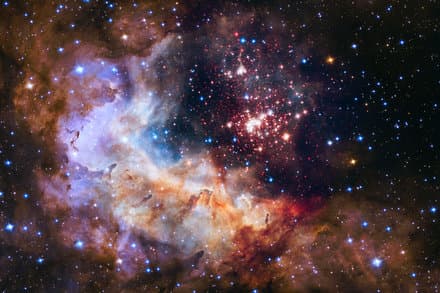 Sign Up for the Science Times Newsletter