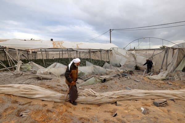 As Famine Stalks Gaza, Farmers Lament Their Many Losses
