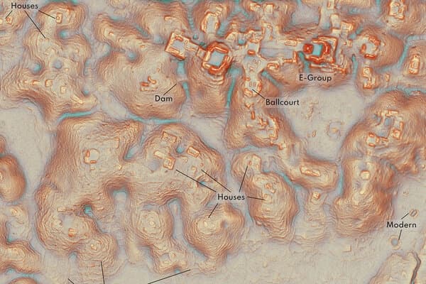 Behind a Wall of Trees, Archaeologists Discover a Maya City