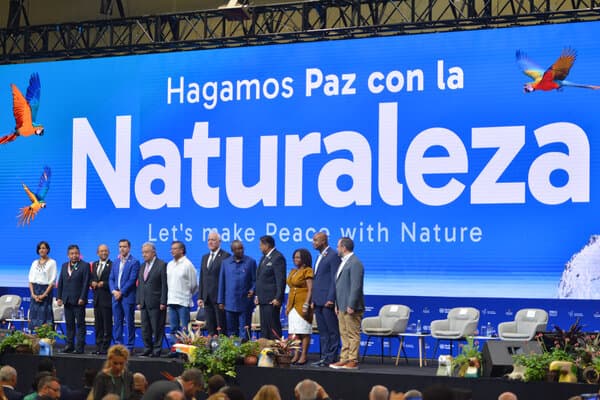 Global Summit on Nature Adopts a Novel Way to Pay for Conservation